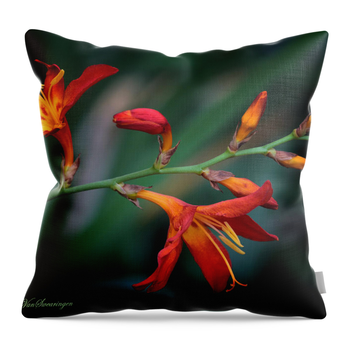 Lily Throw Pillow featuring the photograph Orange Lily by Lucy VanSwearingen