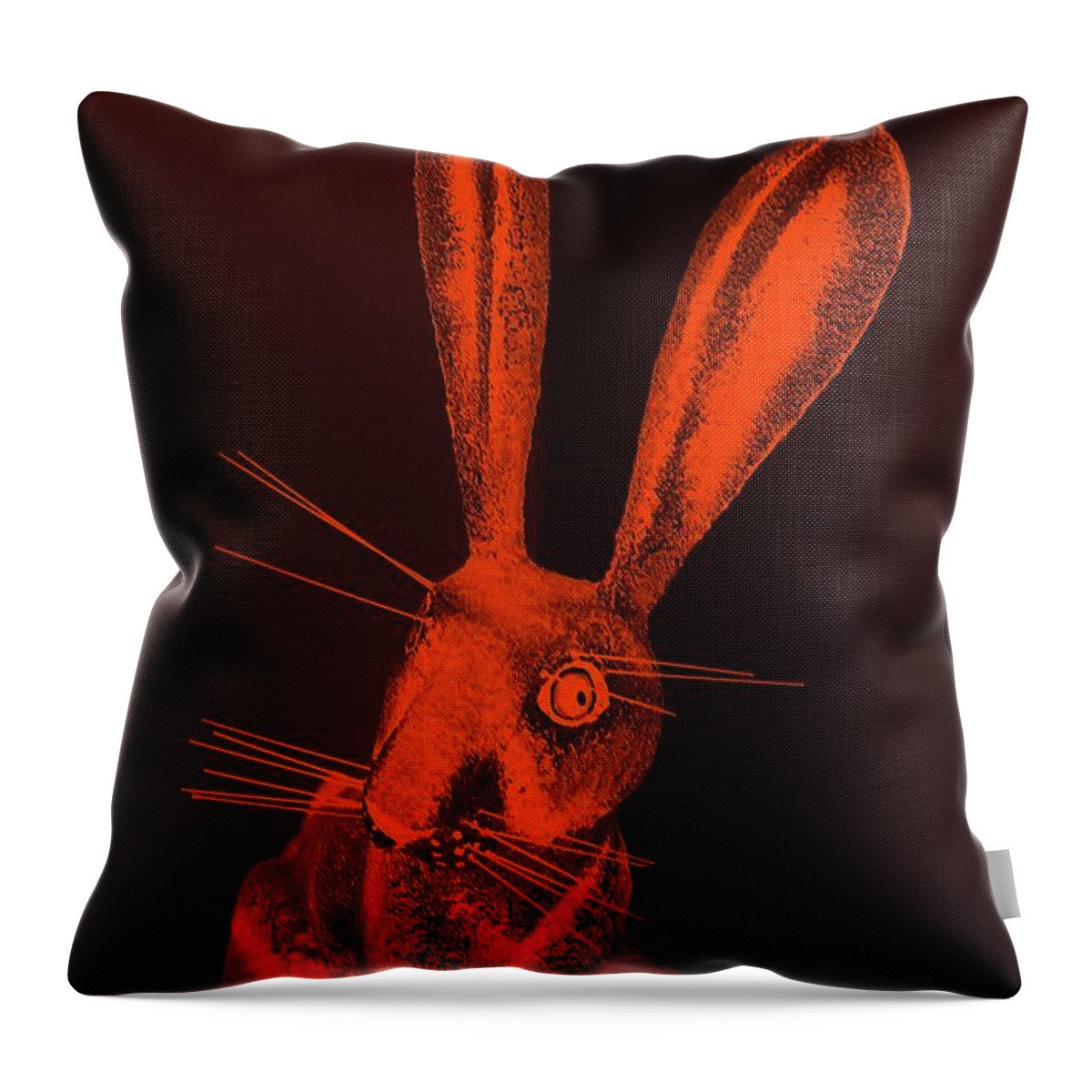 Rabbit Throw Pillow featuring the photograph Orange New Mexico Rabbit by Rob Hans