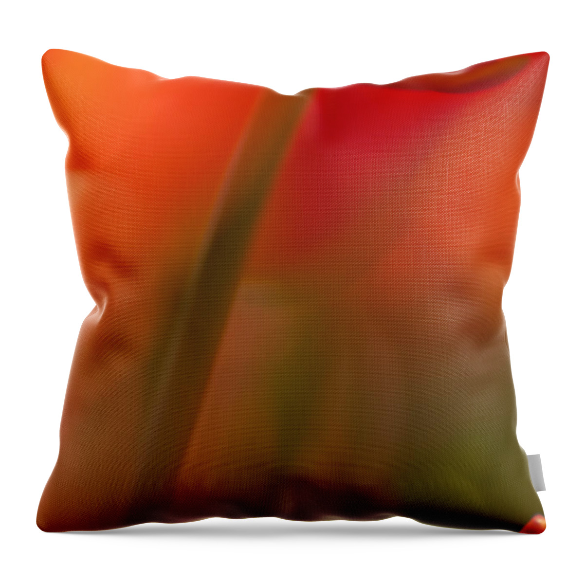 Tulips Throw Pillow featuring the photograph Orange Tulip Abstract by Jani Freimann