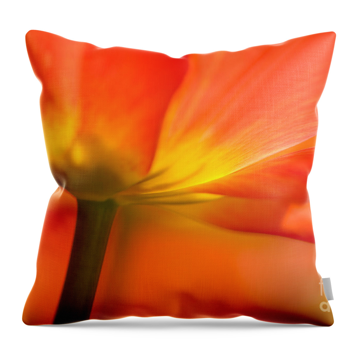 Nature Throw Pillow featuring the photograph Orange Tulip by Oscar Gutierrez