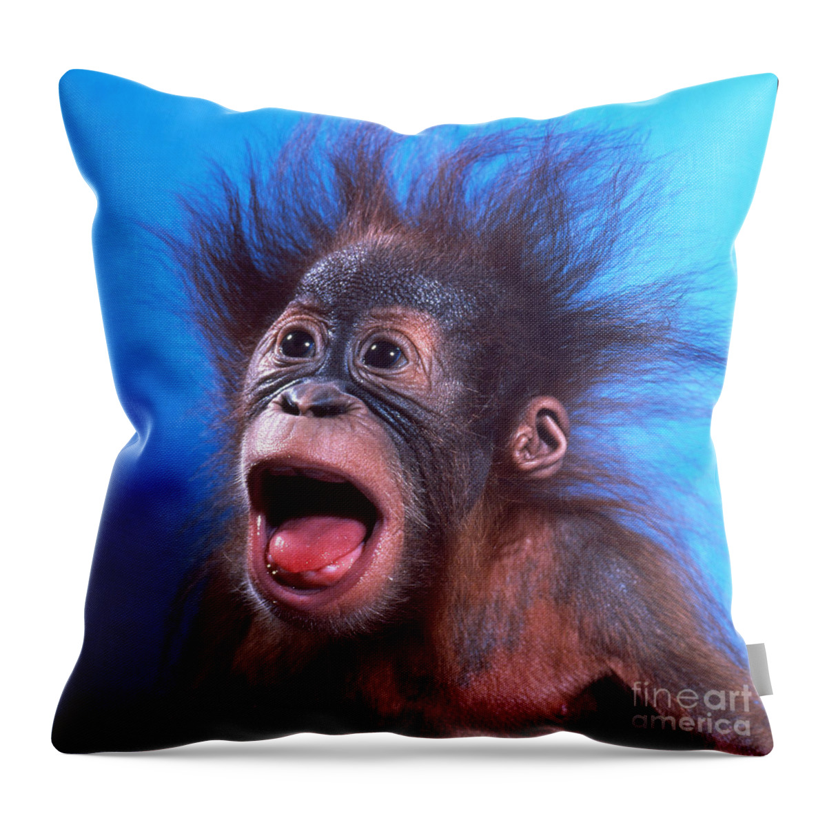 Animal Throw Pillow featuring the photograph Orangutan Pongo Pygmaeus Baby by Toni Angermayer