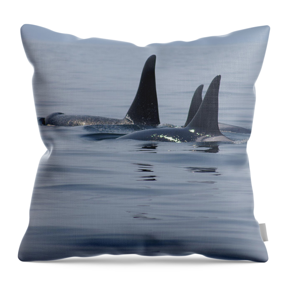 Orca Throw Pillow featuring the photograph Orca Family by Marilyn Wilson