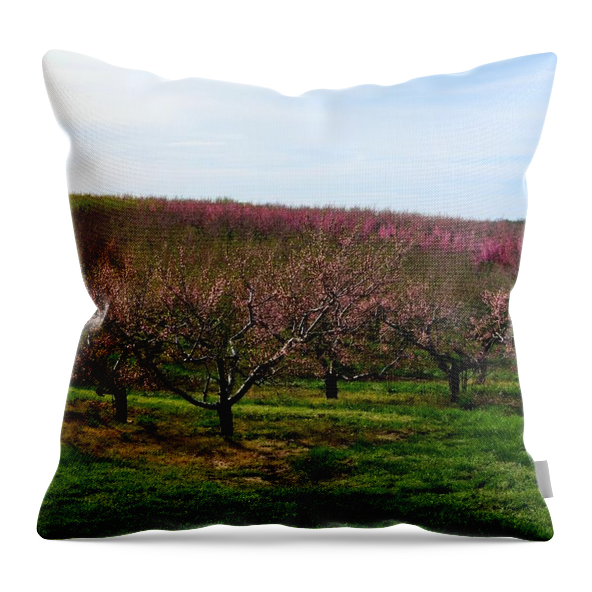 Cherries Throw Pillow featuring the photograph Orchard in Spring ll by Michelle Calkins