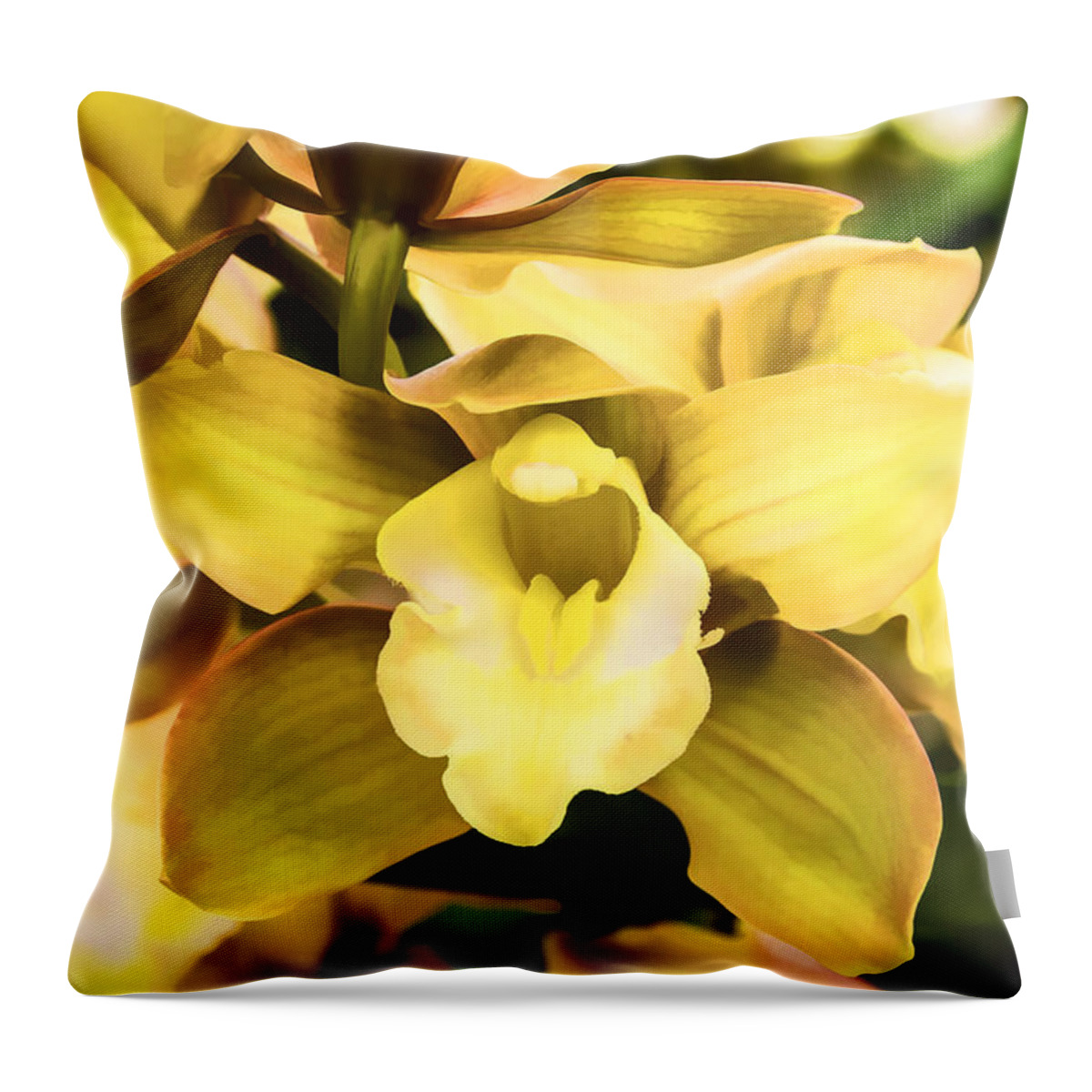 Orchidaceae Throw Pillow featuring the digital art Orchid 1 by David Doucot