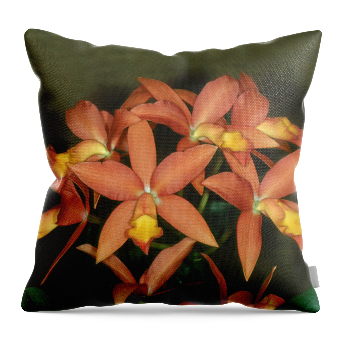 Flower Throw Pillow featuring the photograph Orchid 3 by Andy Shomock