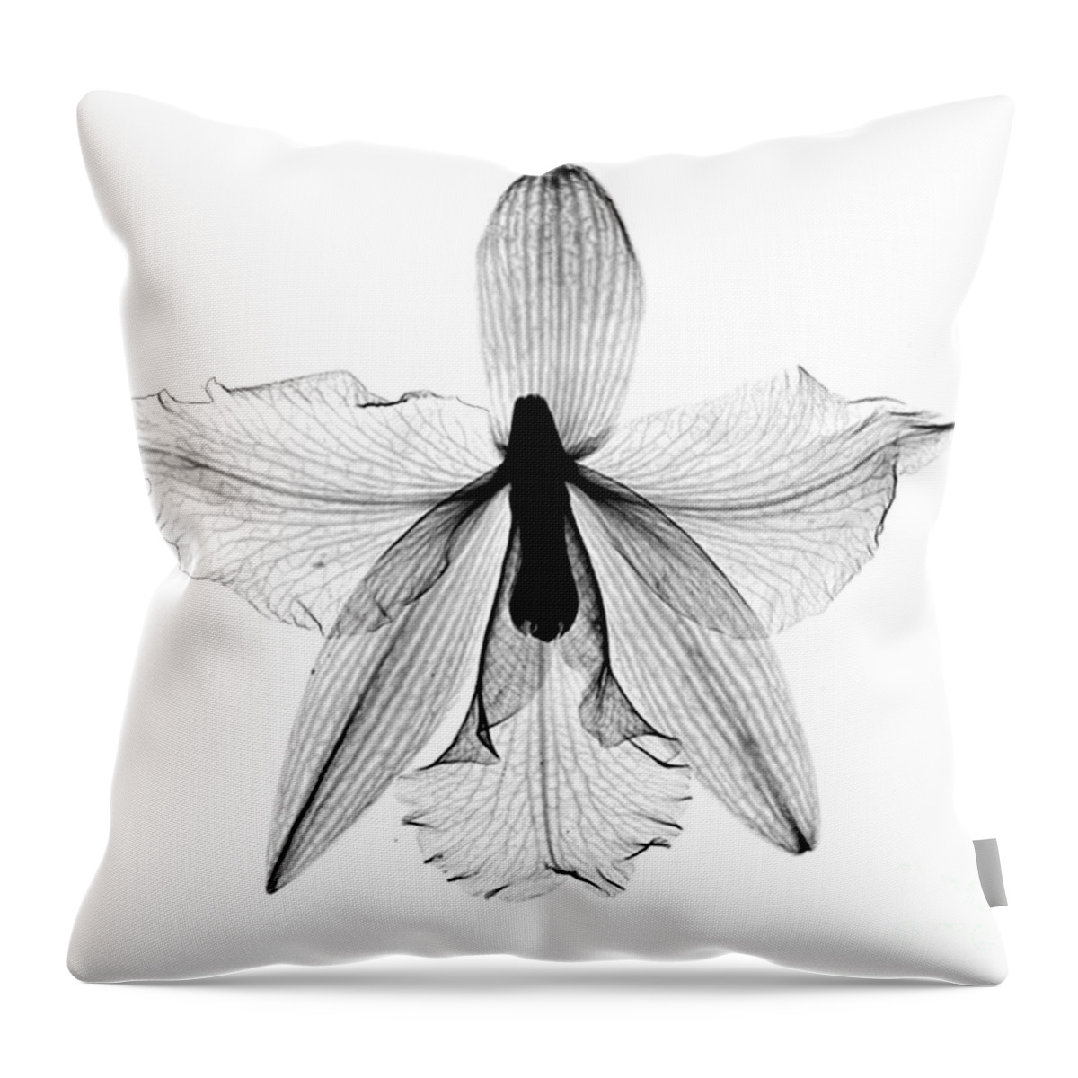Nature Throw Pillow featuring the photograph Orchid Flower X-ray by Bert Myers