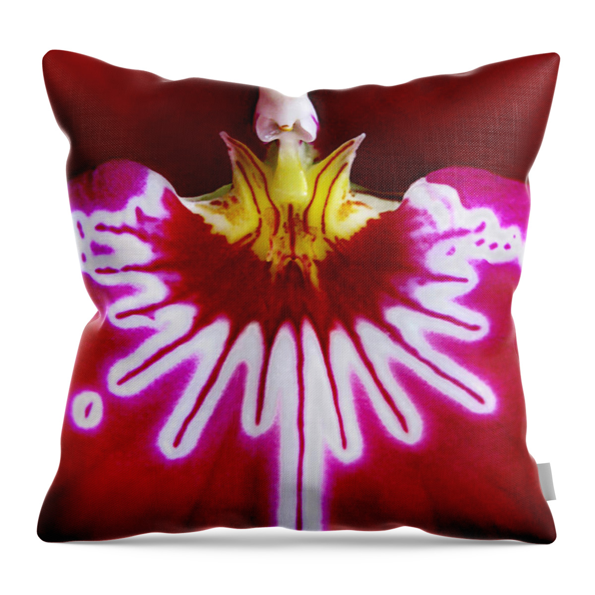 Macro Throw Pillow featuring the photograph Orchid Harlequinn-Pansy Orchid by Jennie Breeze
