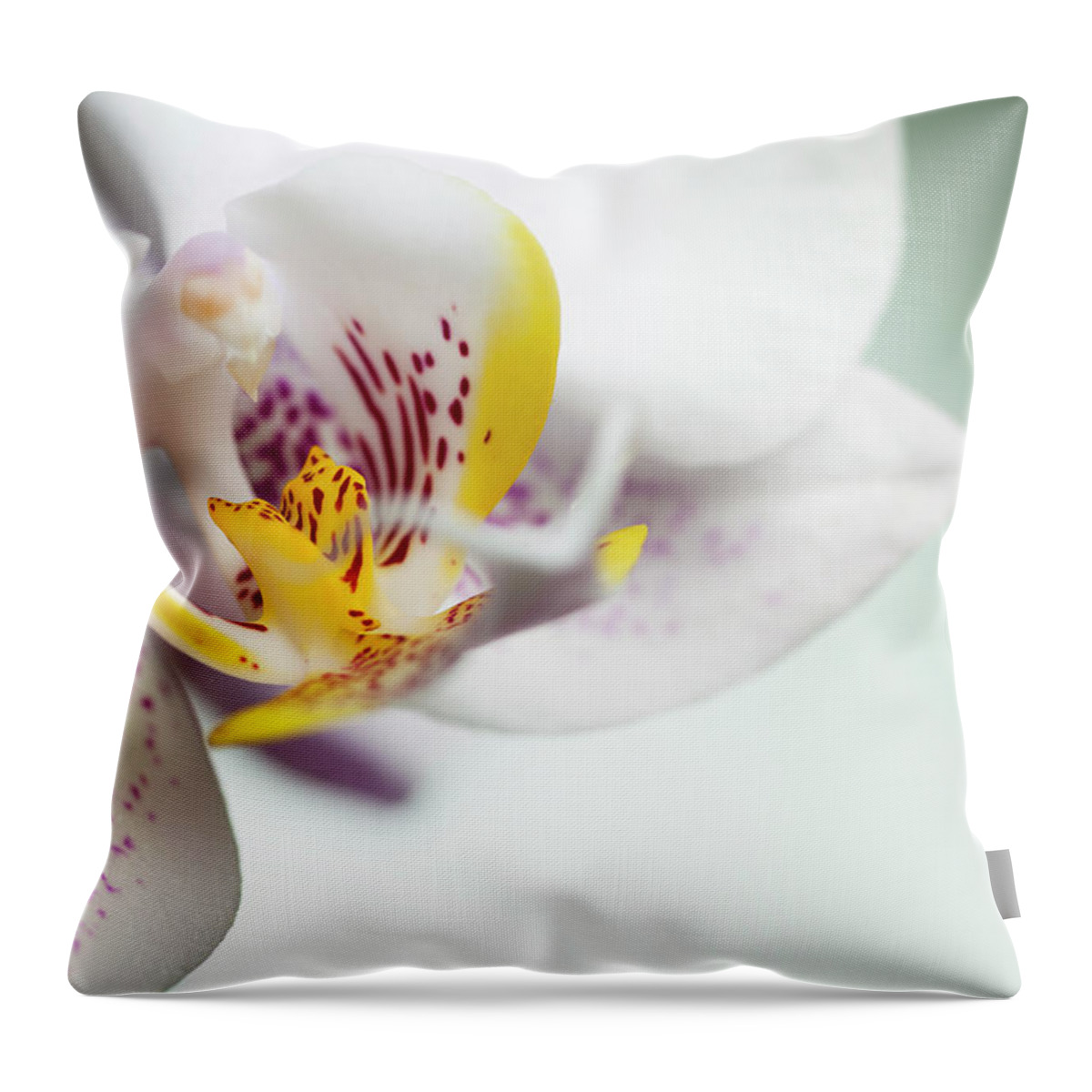 Purple Throw Pillow featuring the photograph Orchid by Mariusfm77
