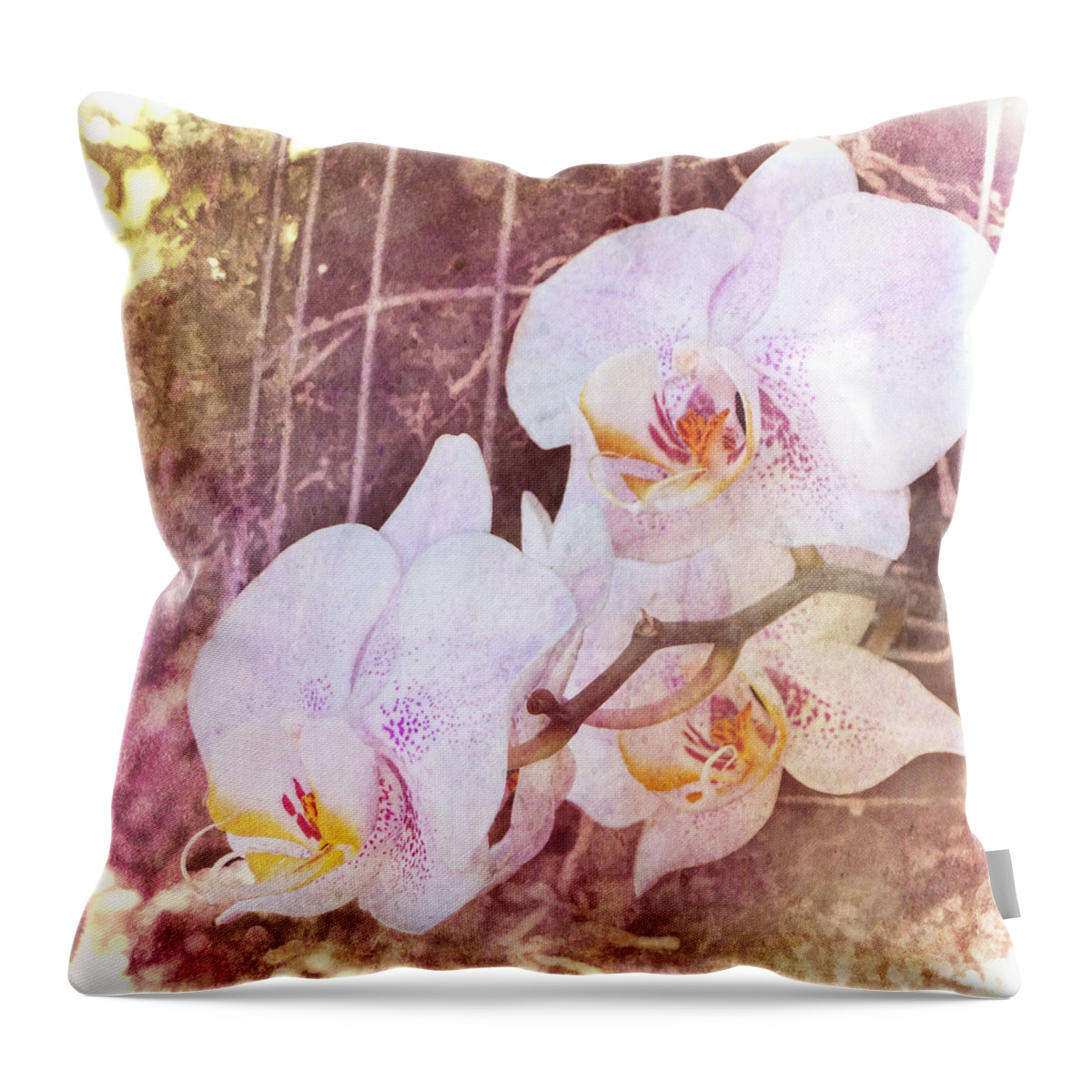 Julia Springer Throw Pillow featuring the photograph Orchid - Phalaenopsis by Julia Springer