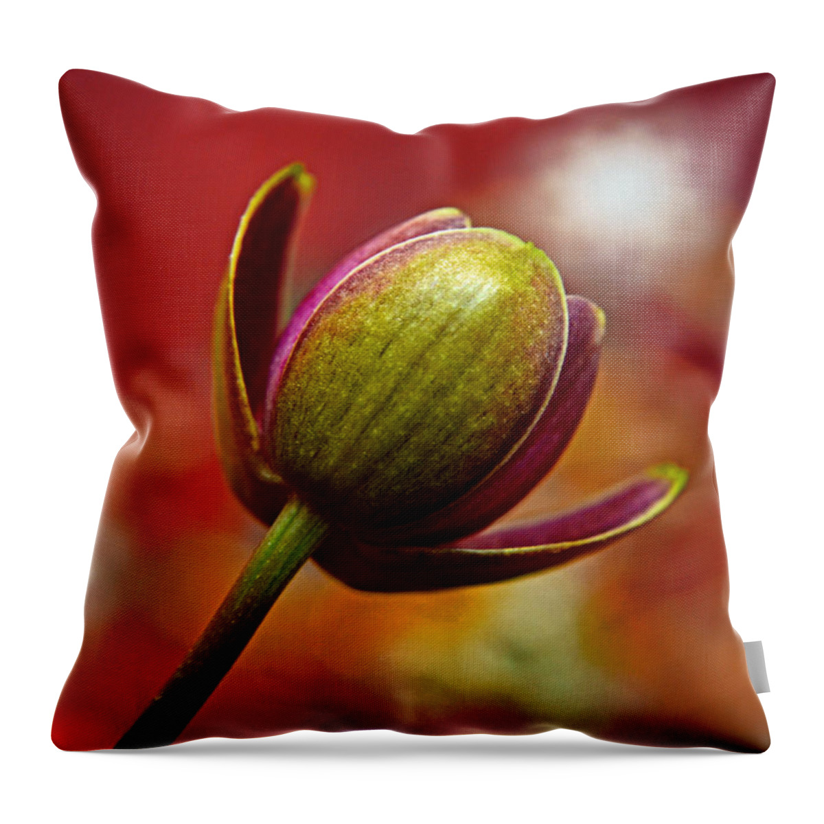 Orchid Throw Pillow featuring the photograph Orchid Unfurled by Mary Machare