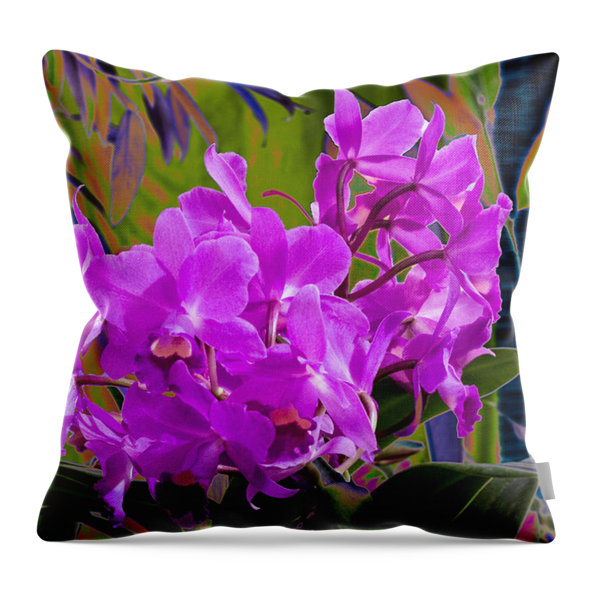 Selby Gardens Throw Pillow featuring the photograph Orchids by Richard Goldman