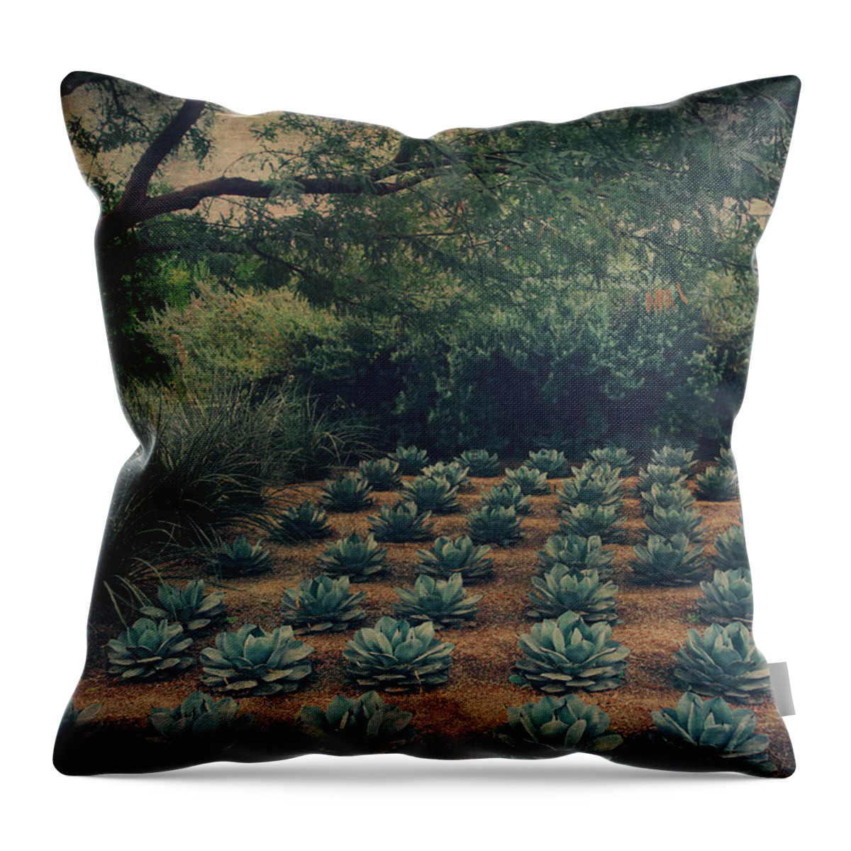 Sunnylands Center And Gardens Throw Pillow featuring the photograph Order by Laurie Search