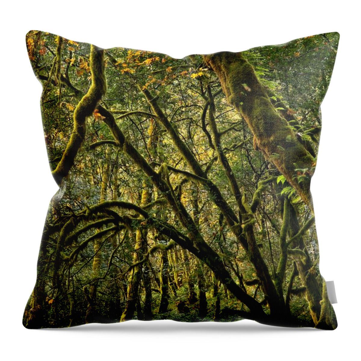 Oregon Rainforest Throw Pillow featuring the photograph Oregon Rainforest Green by Adam Jewell