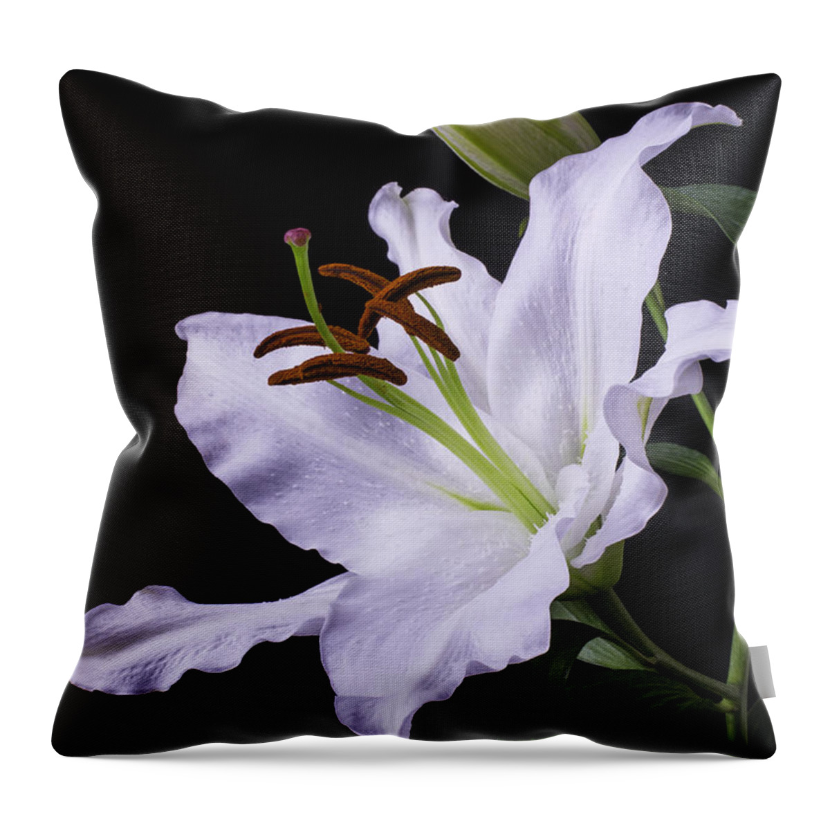 Oriental Lily Throw Pillow featuring the photograph Oriental Lily by Garry Gay