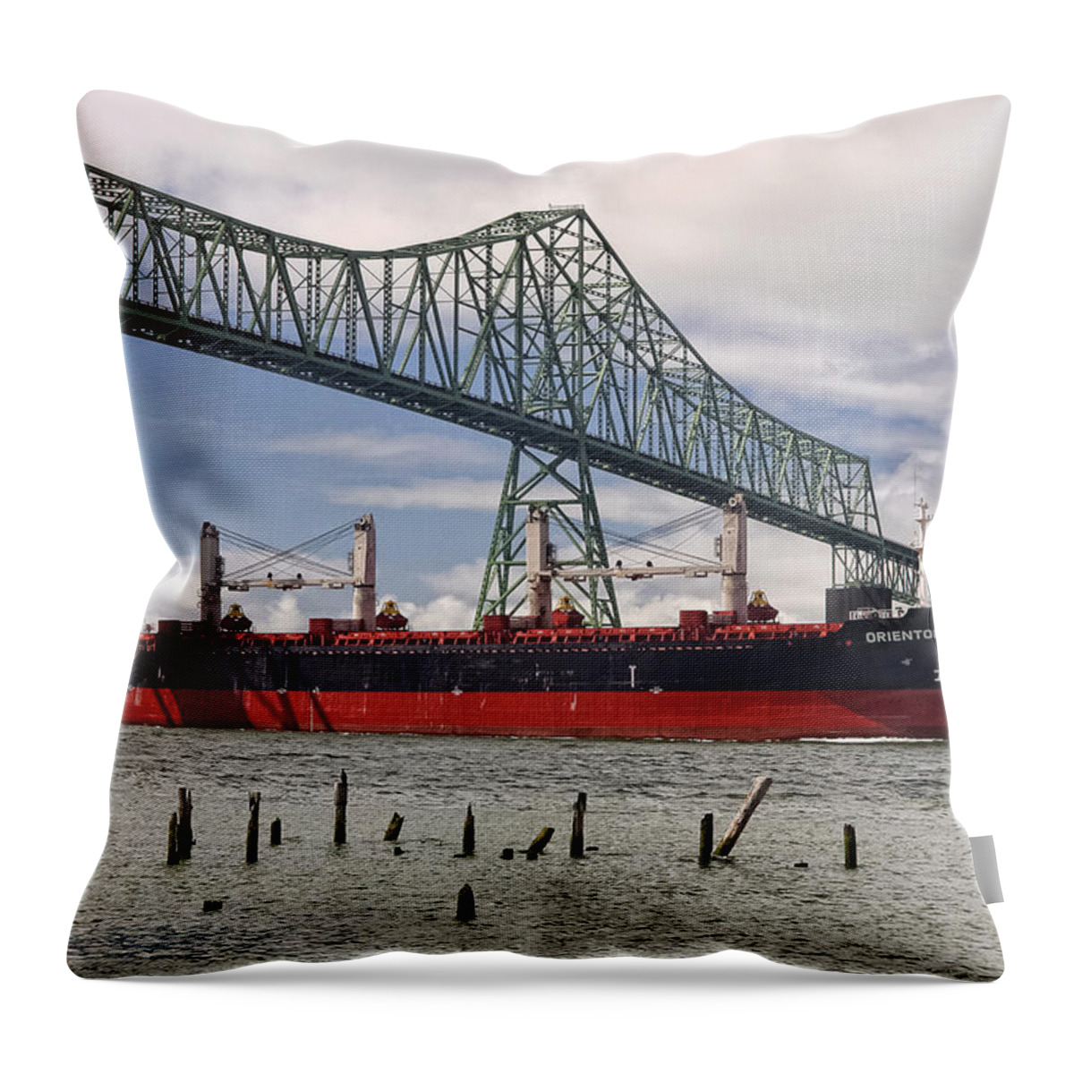 Orientor 2 Throw Pillow featuring the photograph Orientor 2 #2 by Wes and Dotty Weber