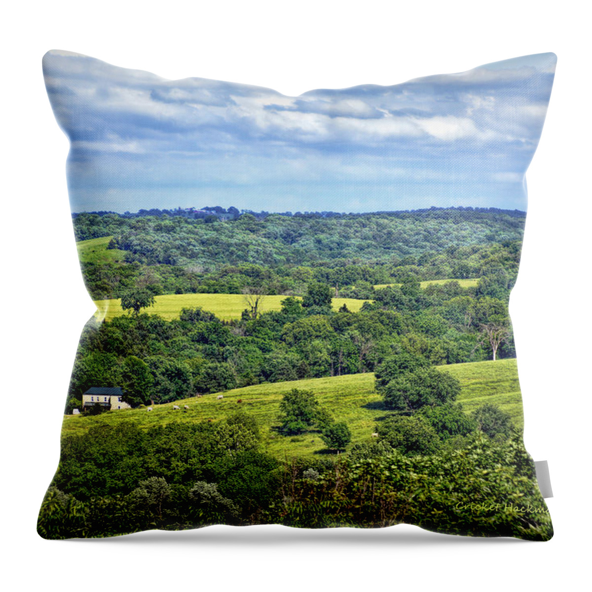 View Throw Pillow featuring the photograph Osage County Lookout by Cricket Hackmann