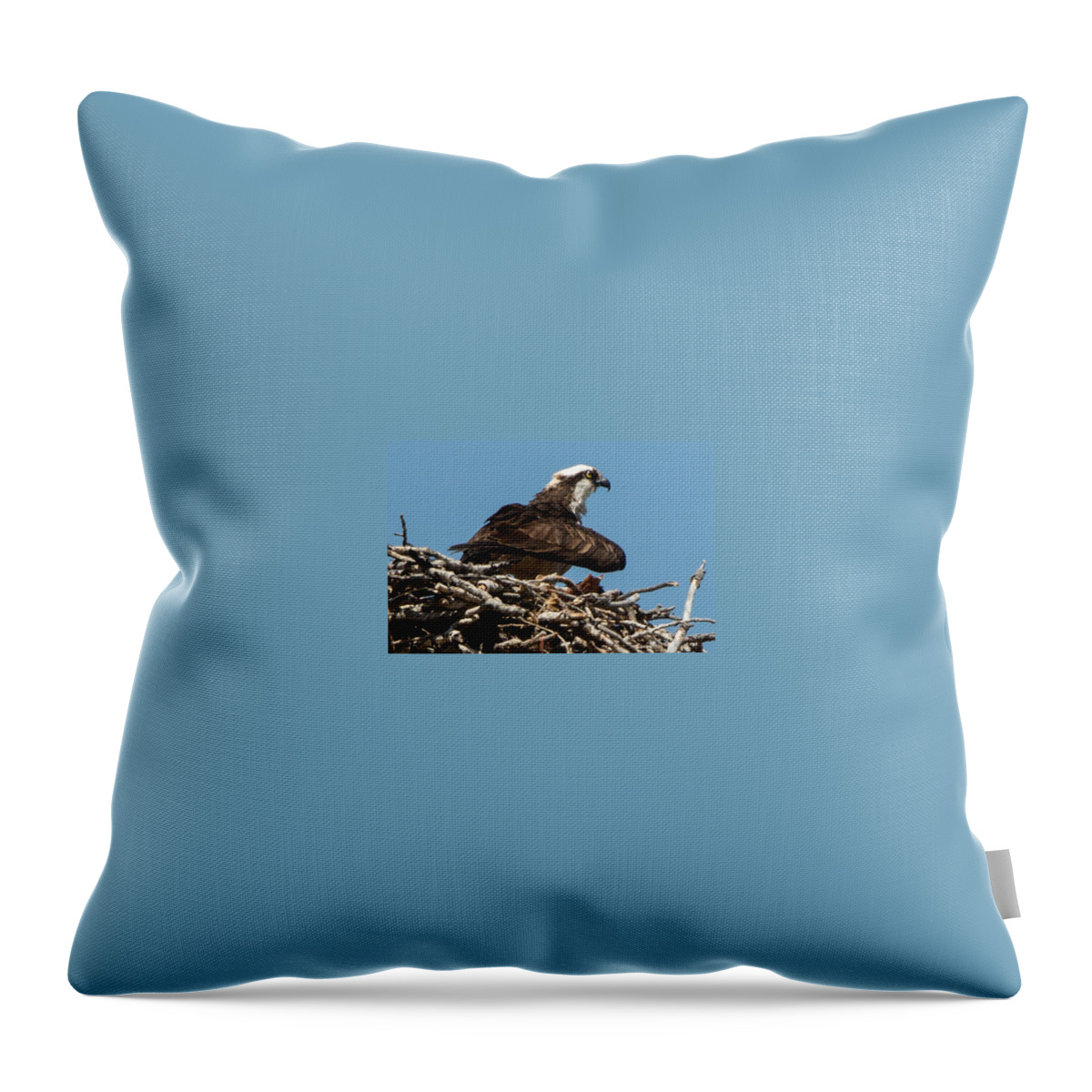 Osprey Throw Pillow featuring the photograph Osprey Nest 2 by John Daly
