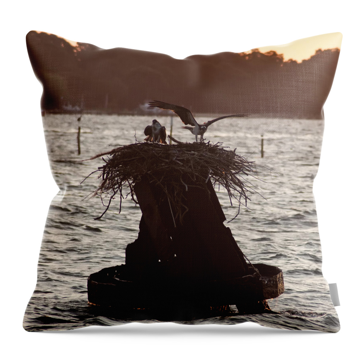 Osprey Throw Pillow featuring the photograph Osprey Nest - Piney Point Maryland by Bill Cannon