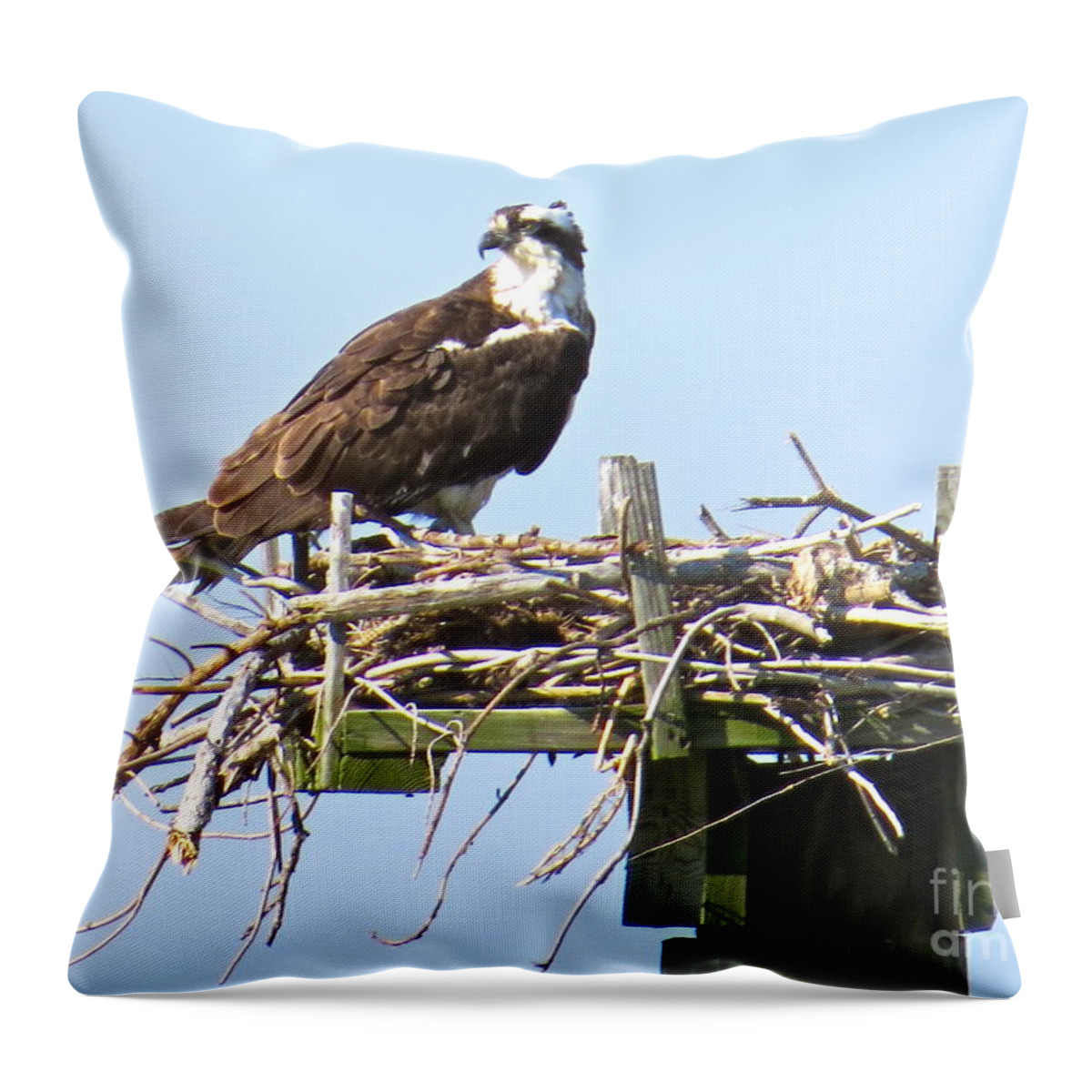 Osprey Throw Pillow featuring the photograph Osprey On The Chesapeake Bay by Nancy Patterson