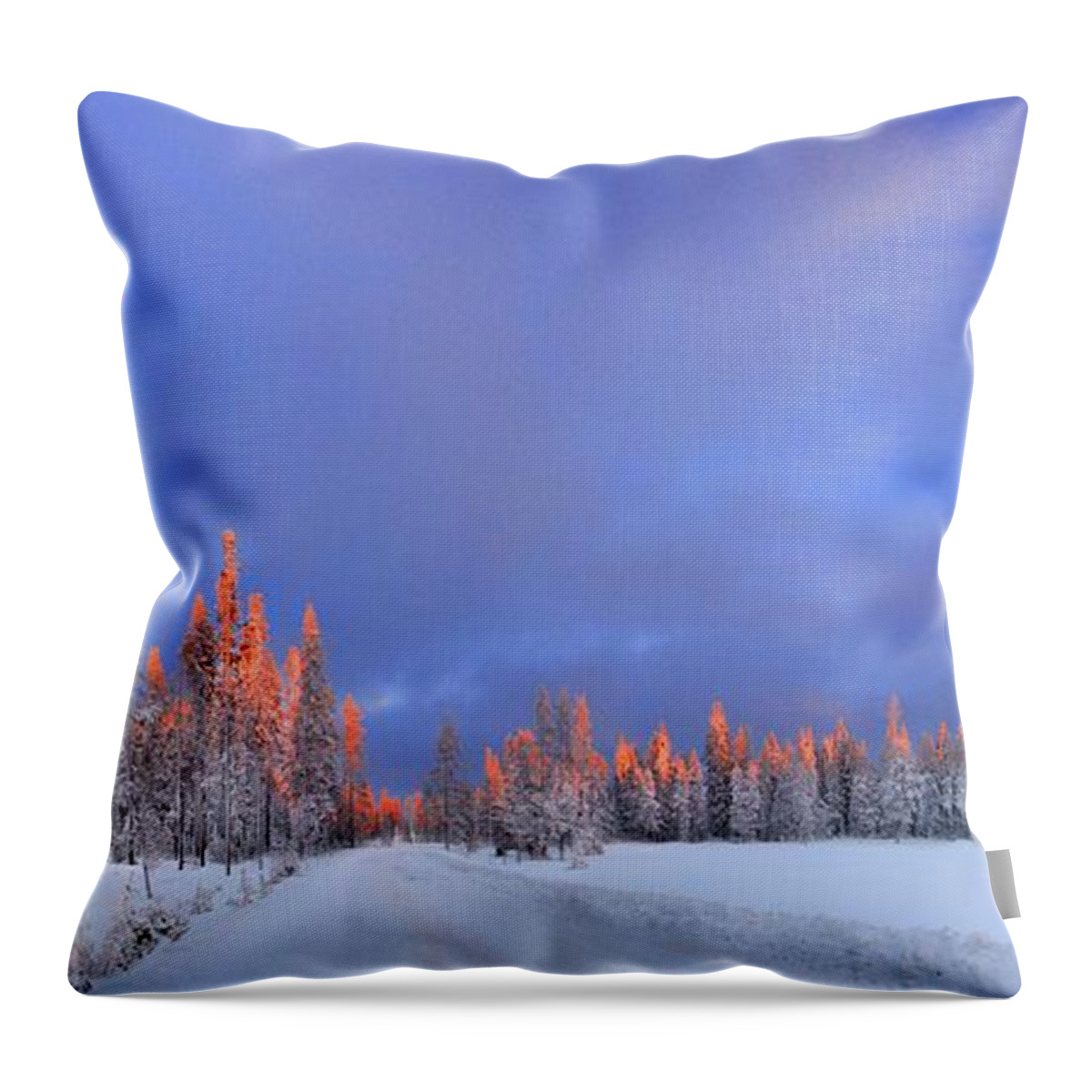 Sunset Throw Pillow featuring the photograph Other Side of a Winter Sunset by David Andersen