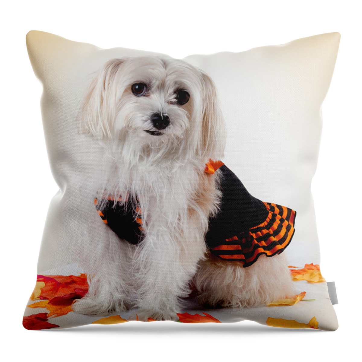 Our Best Friend Throw Pillow featuring the photograph Our Best Friend by Michelle Constantine