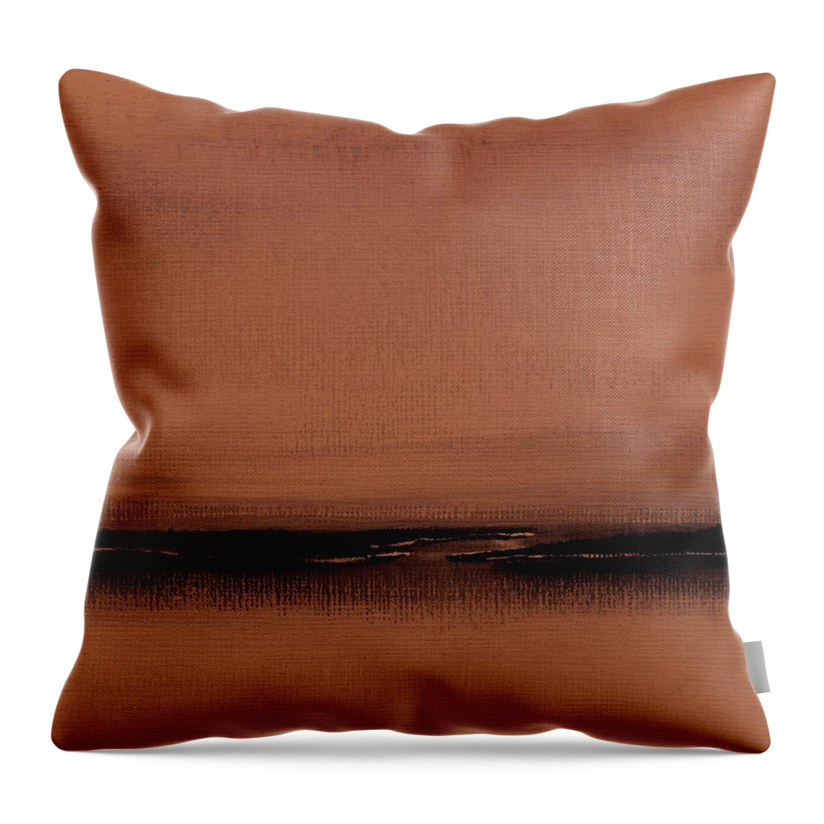  Fineartamerica.com Throw Pillow featuring the painting Our Oceans The Continental Dividers Number 1133-3 by Diane Strain