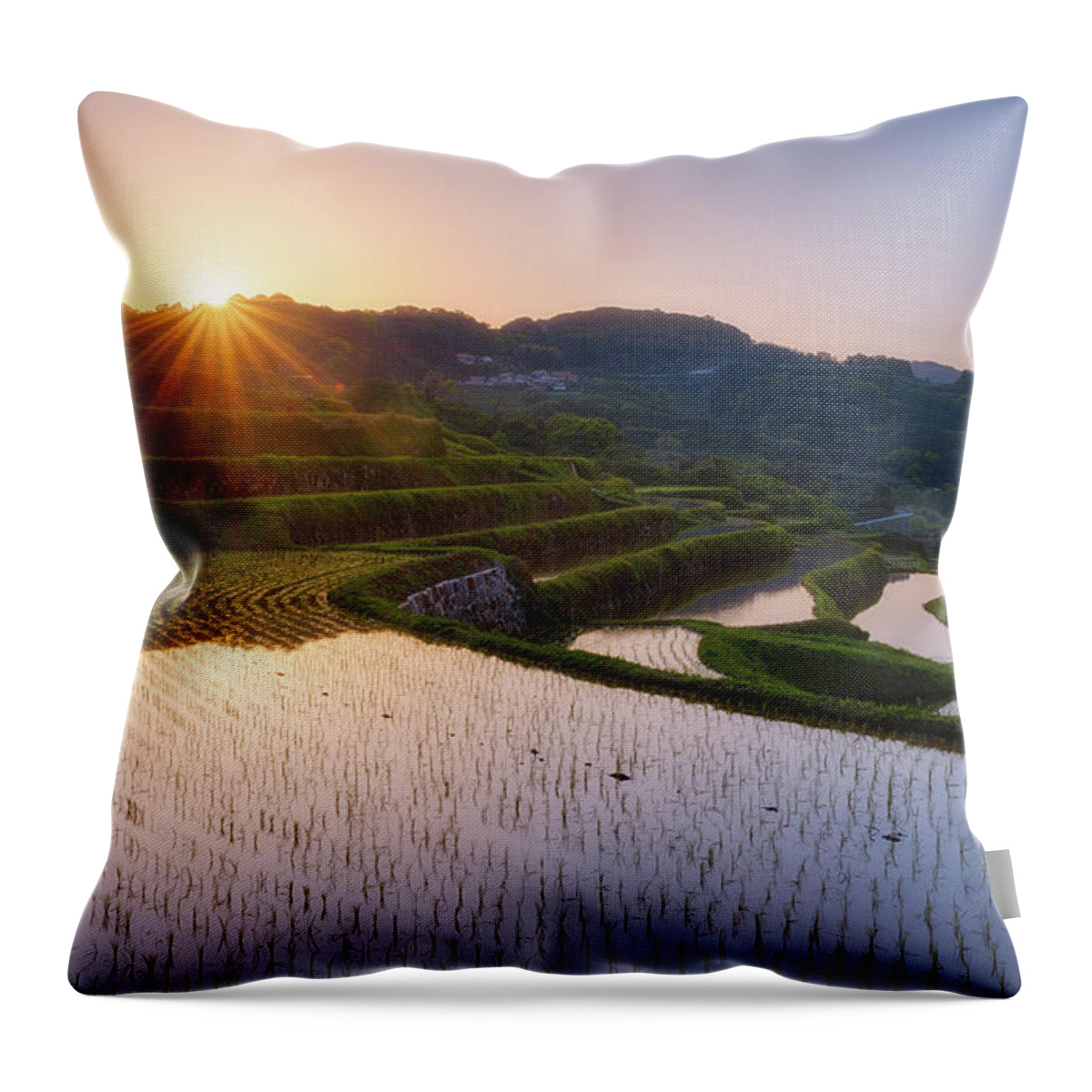Tranquility Throw Pillow featuring the photograph Oura Rice Terraces During Sunrise by Agustin Rafael C. Reyes