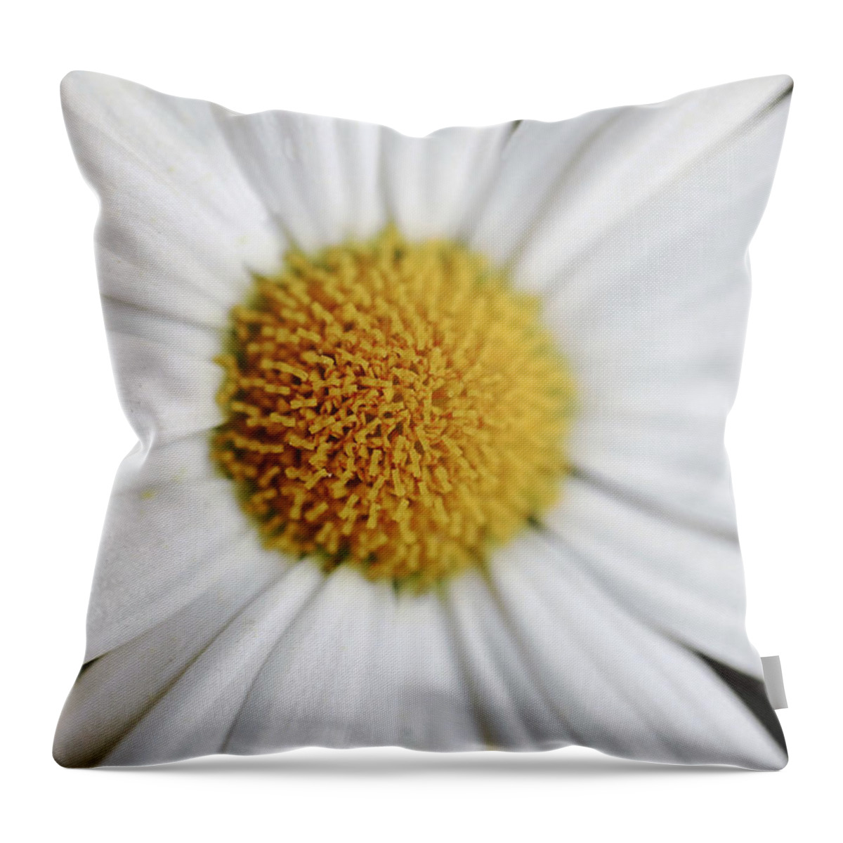 Floral Throw Pillow featuring the photograph Ourhero by Janice Bajek