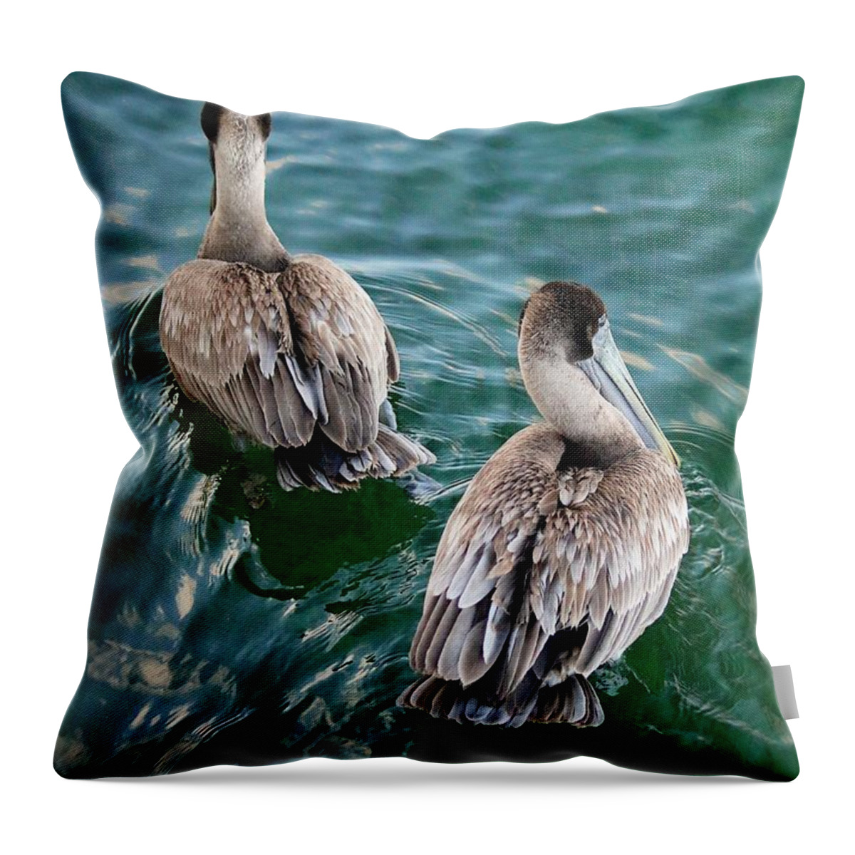 Pelicans Throw Pillow featuring the photograph Out for a Swim by Veronica Batterson