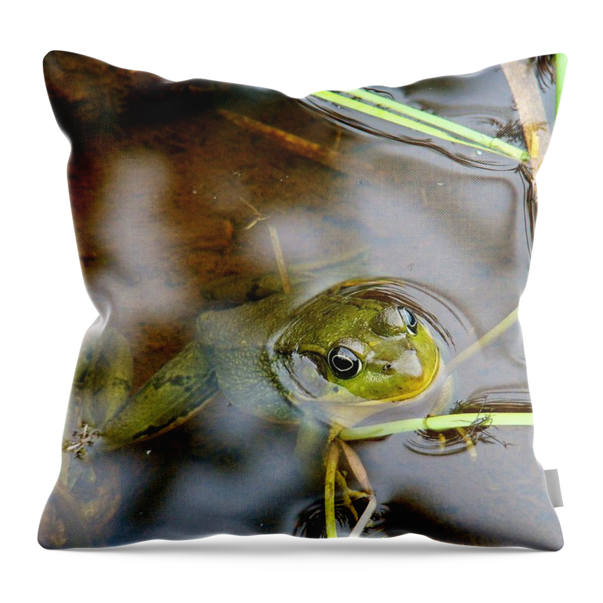 Frog Throw Pillow featuring the photograph Out For Some Fresh Air... And a Snack by Zinvolle Art