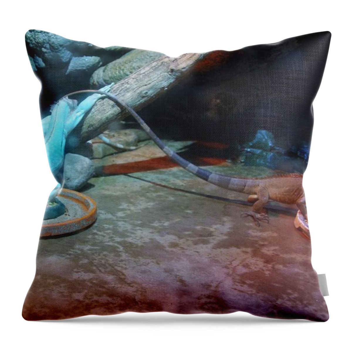 Out Of Africa Throw Pillow featuring the photograph Out of Africa Lizards by Phyllis Spoor