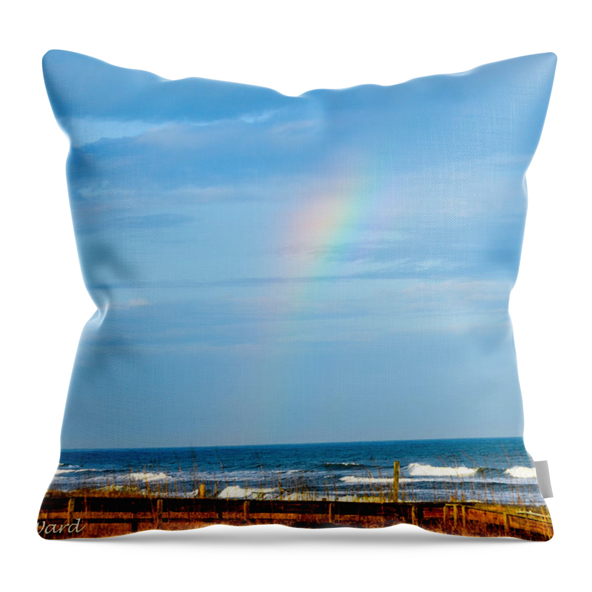 Blue Skies Throw Pillow featuring the photograph Out Of The Blue by Mary Hahn Ward