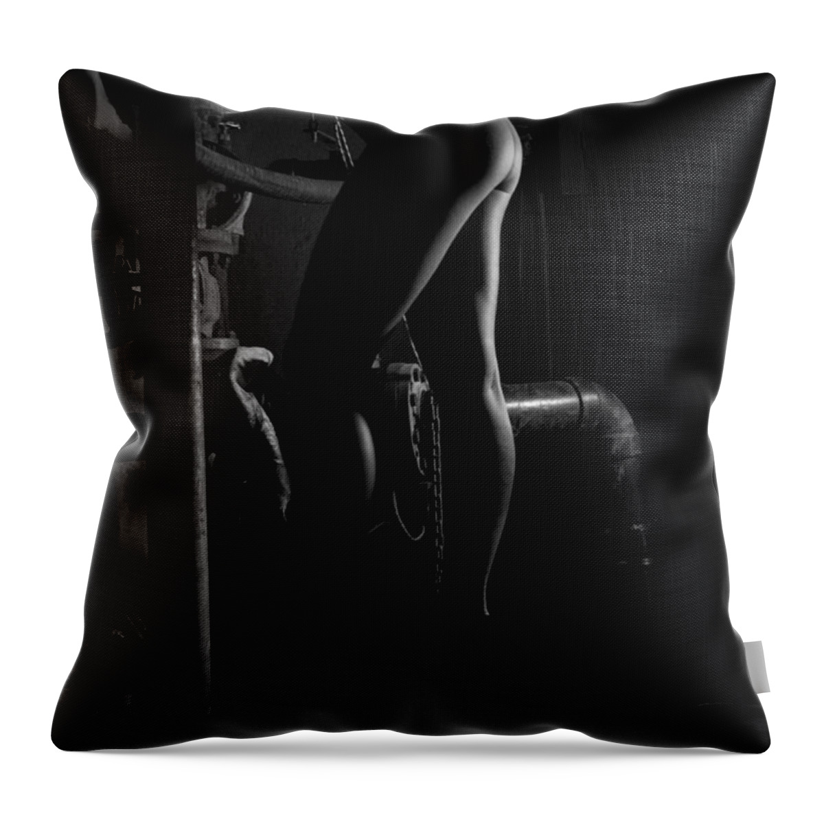 Blue Muse Fine Art Throw Pillow featuring the photograph Out Of The Shadows 5 by Blue Muse Fine Art