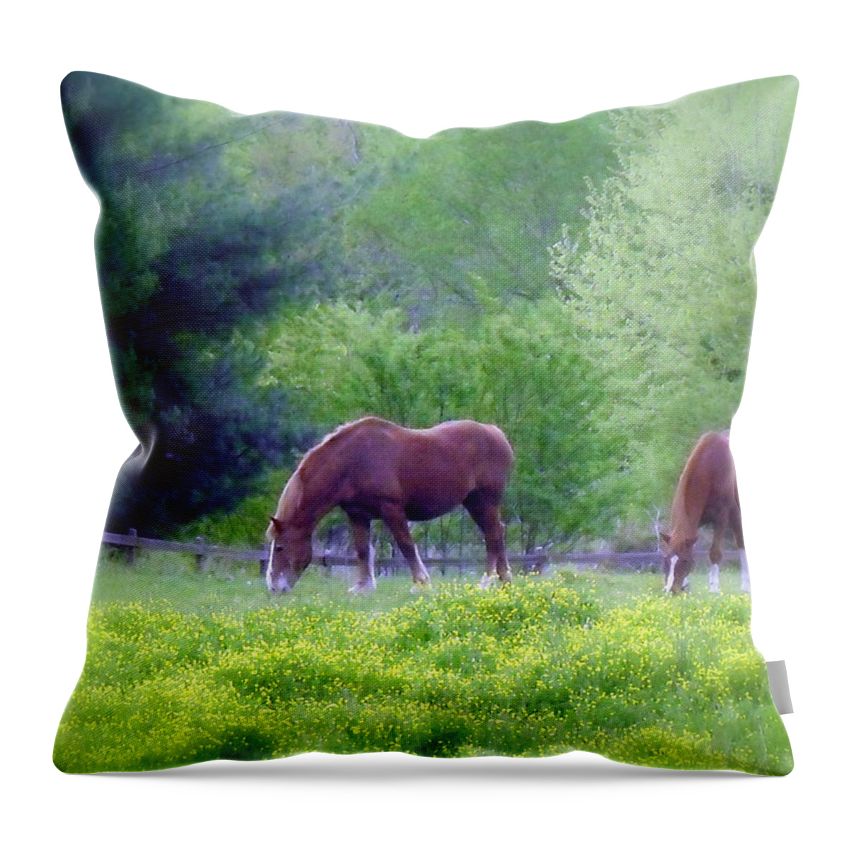 Horse Throw Pillow featuring the photograph Out To Pasture by Jodie Marie Anne Richardson Traugott     aka jm-ART