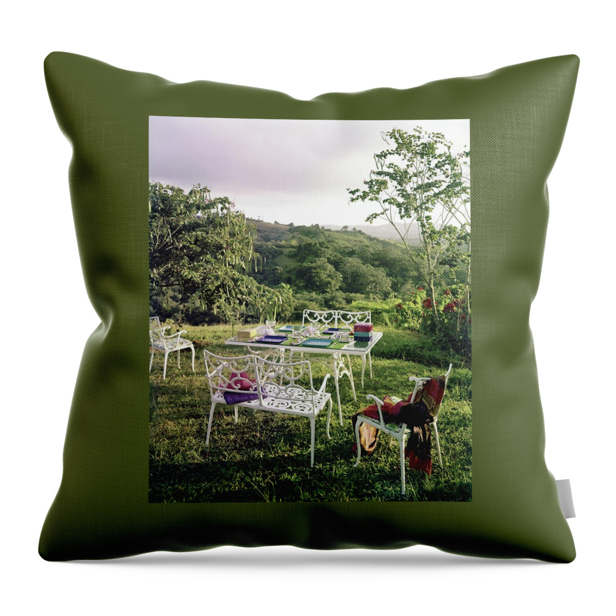 Outdoor Furniture By Lloyd On Grassy Hillside Throw Pillow