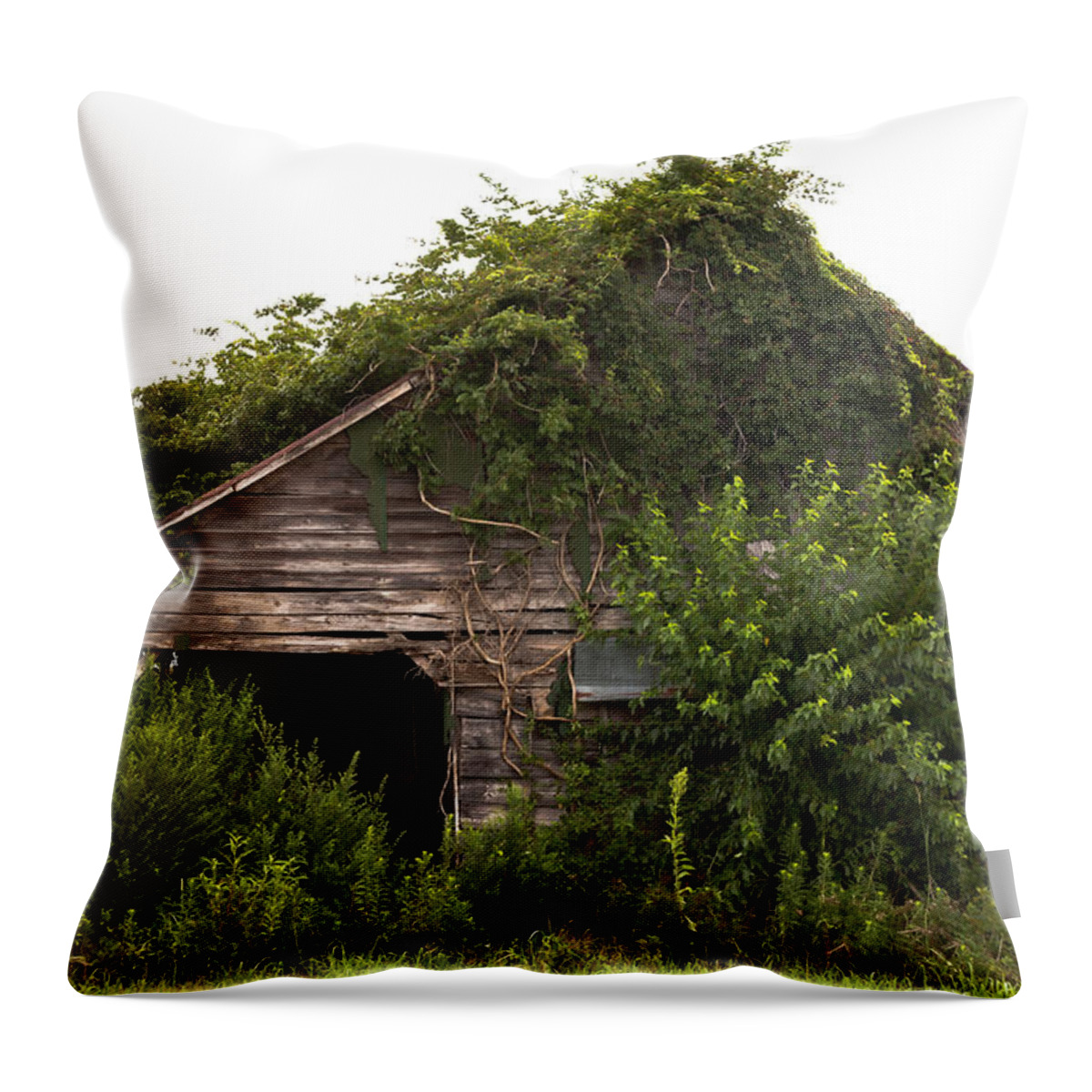 Barn Throw Pillow featuring the photograph Overgrown by Green by Jo Ann Tomaselli