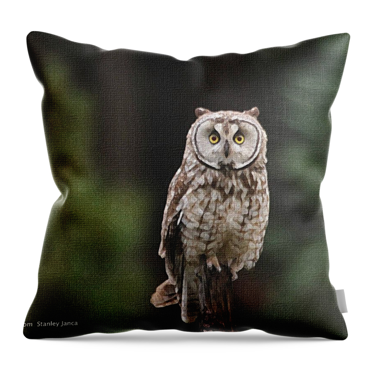 Owl Throw Pillow featuring the photograph Owl In The Forest Visits by Tom Janca