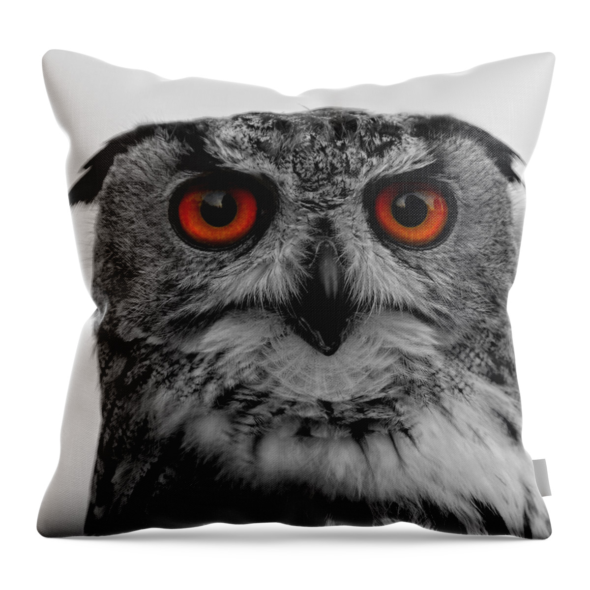 Adorable Throw Pillow featuring the photograph Owl by TouTouke A Y