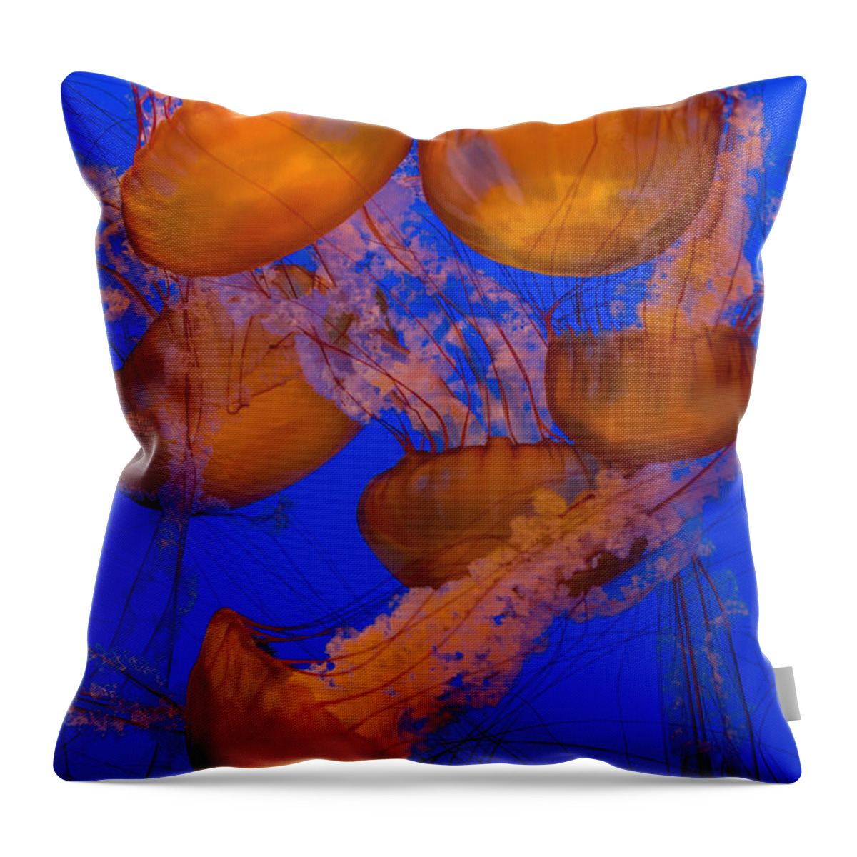 Jellyfish Throw Pillow featuring the photograph Pacific Sea Nettle Cluster 2 by Scott Campbell