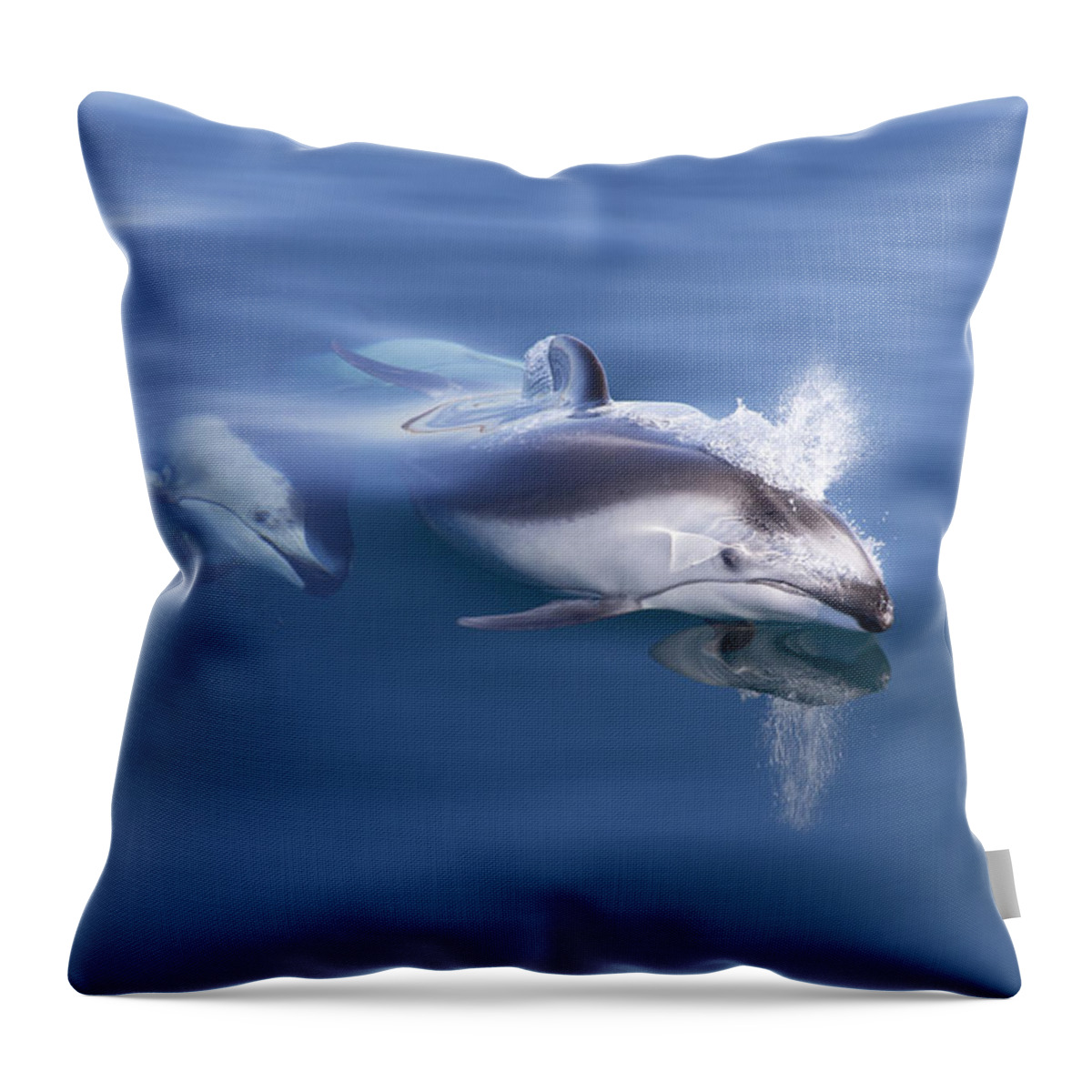534186 Throw Pillow featuring the photograph Pacific White-sided Dolphins Surfacing by Richard Herrmann
