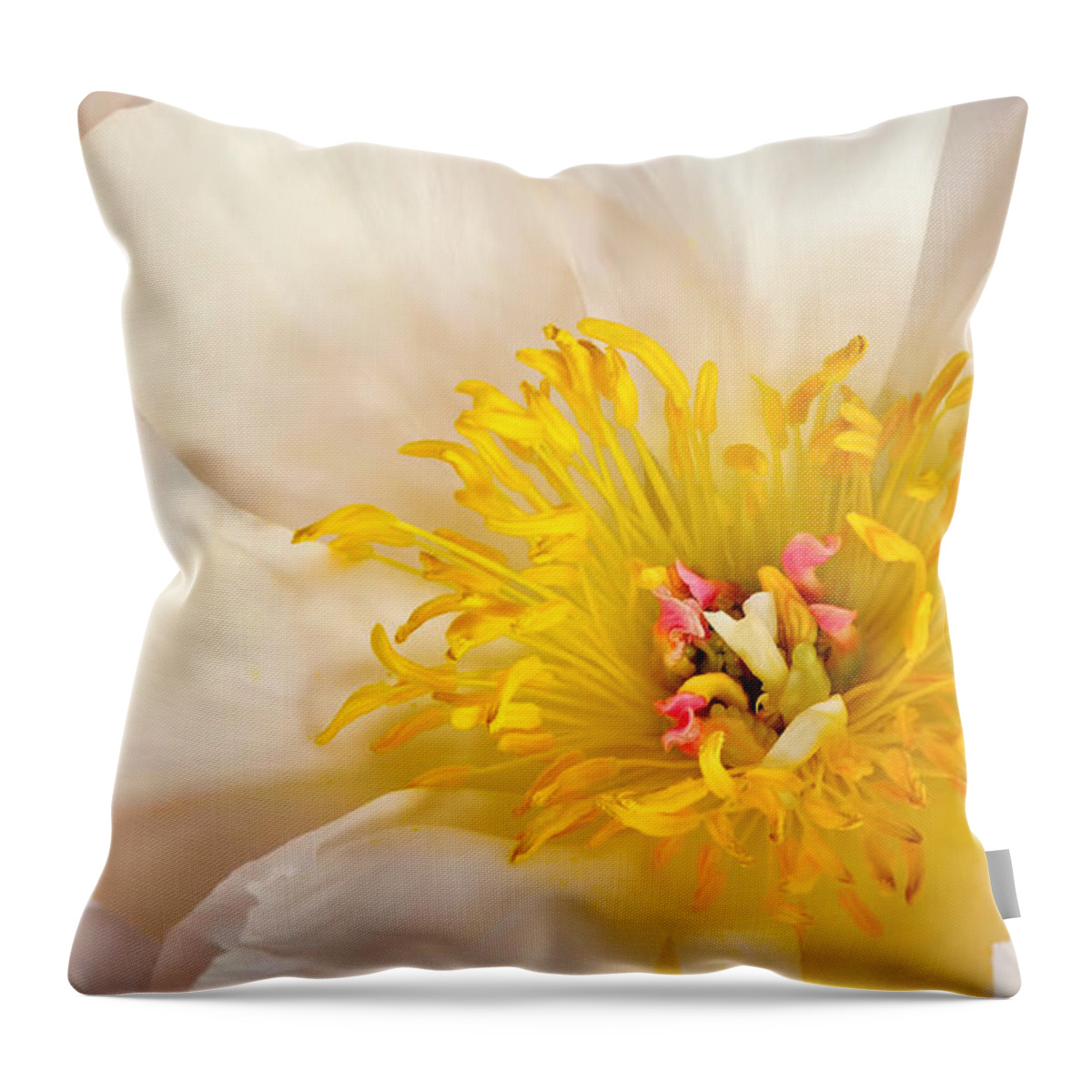 Peony Throw Pillow featuring the photograph Paeonia by Carol Eade