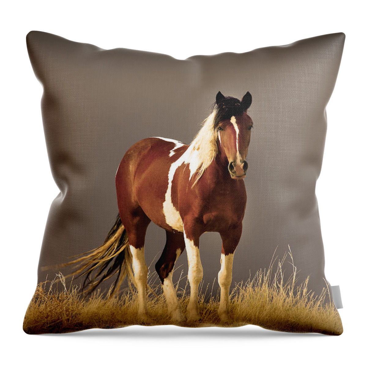 Wild Mustangs Throw Pillow featuring the photograph Paint Filly Wild Mustang Sepia Sky by Rich Franco