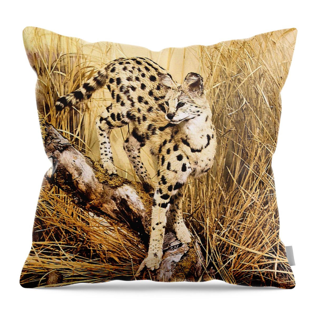 Cheetah Throw Pillow featuring the photograph Painted Cheetah by Kristin Elmquist