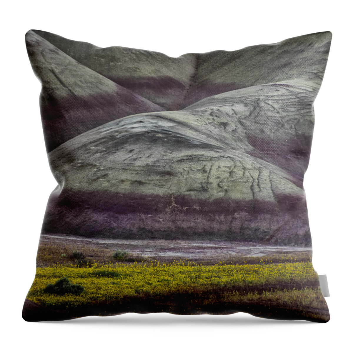 Hills Throw Pillow featuring the photograph Painted Hills Bloom by Erika Fawcett
