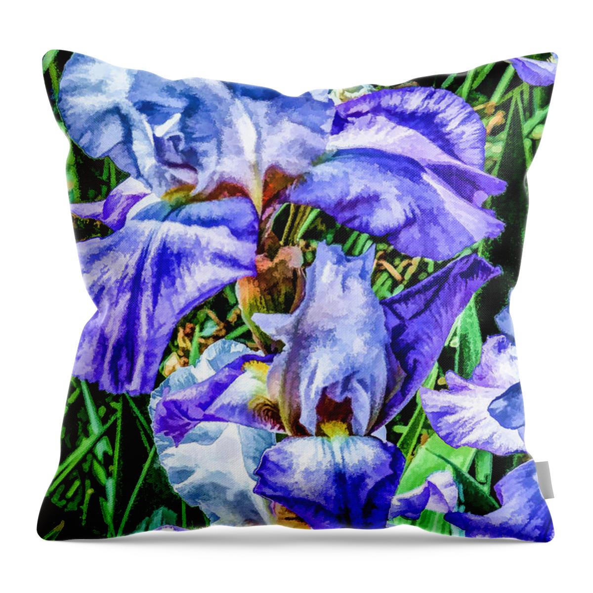 Iris Throw Pillow featuring the digital art Painted Iris by Georgianne Giese