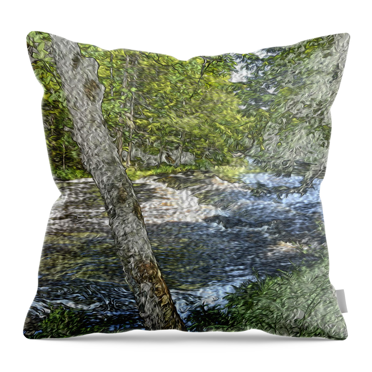 Mountain Throw Pillow featuring the photograph Painted Mountain Stream by Will Burlingham