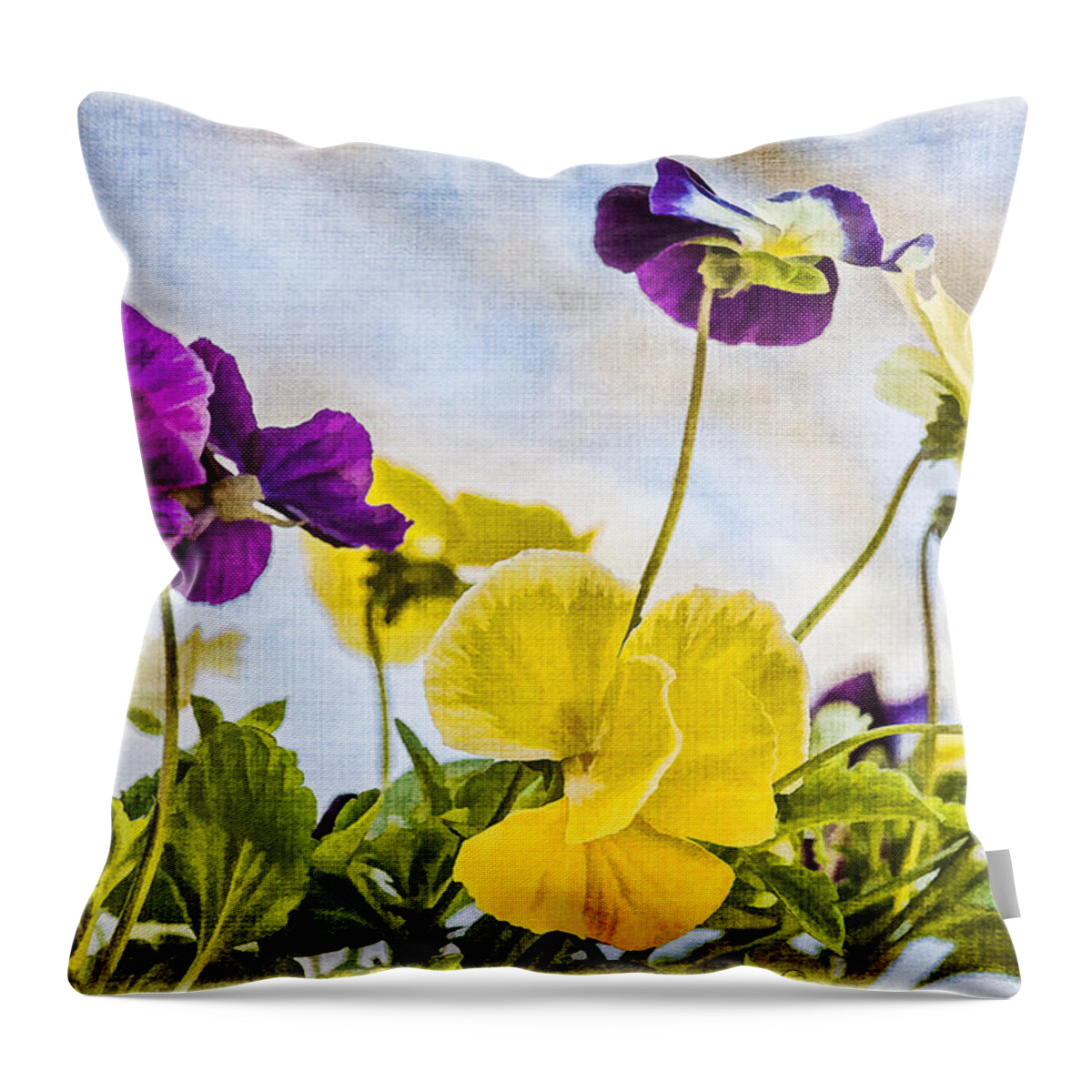 Pansies Throw Pillow featuring the photograph Painted Pansies by Cathy Kovarik