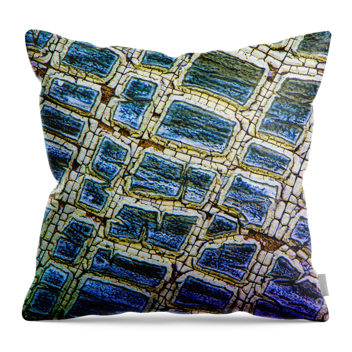 Building Throw Pillow featuring the photograph Painted Streets Number 1 by Michael Arend