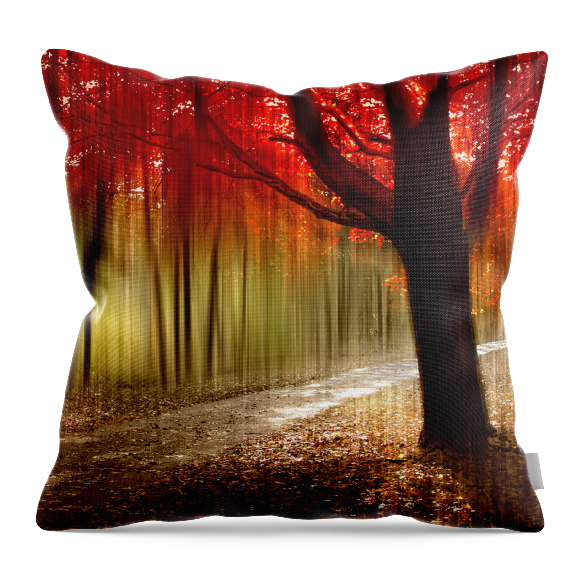Autumn Throw Pillow featuring the photograph Painted With Light by Jessica Jenney