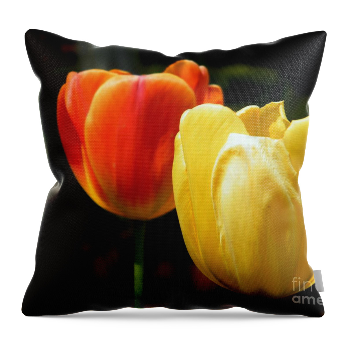 Flower Throw Pillow featuring the photograph Pair of Red and Yellow Tulips by Cheryl Hardt Art